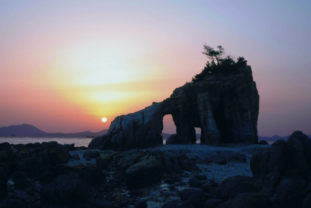 宇部エリアのドッグラン